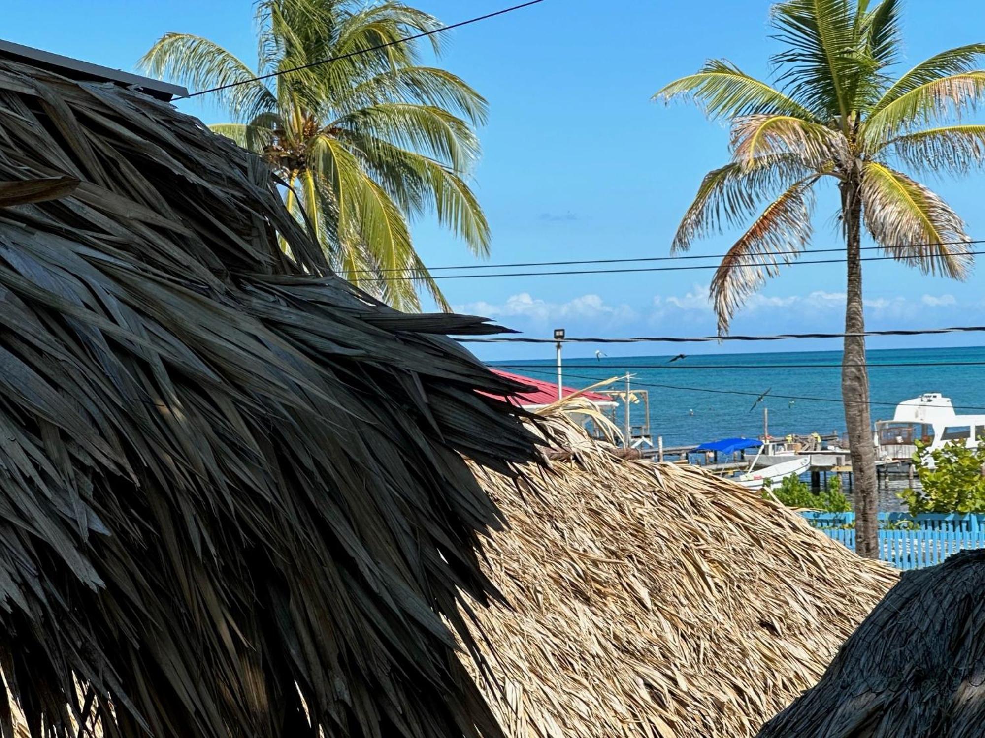 The Bounty Hotel Caye Caulker Eksteriør billede